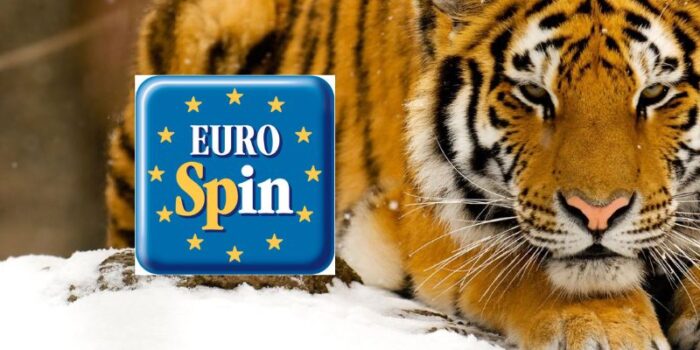 eurospin