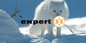 expert