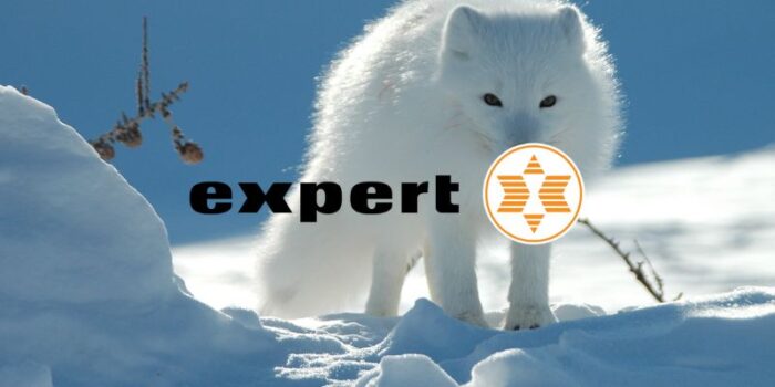expert