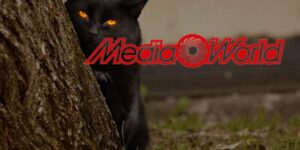 MediaWorld è inarrestabile, offerte pazze battono ancora Unieuro