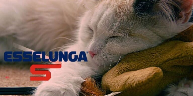 esselunga