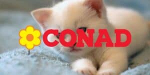 conad