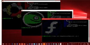 Windows Subsystem for Linux