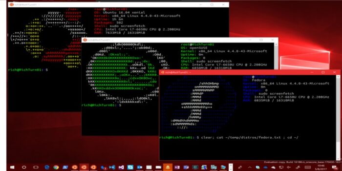 Windows Subsystem for Linux