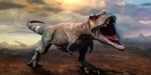 dinosauri australia