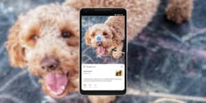 google-lens-integrato-pagina-principale-google-com