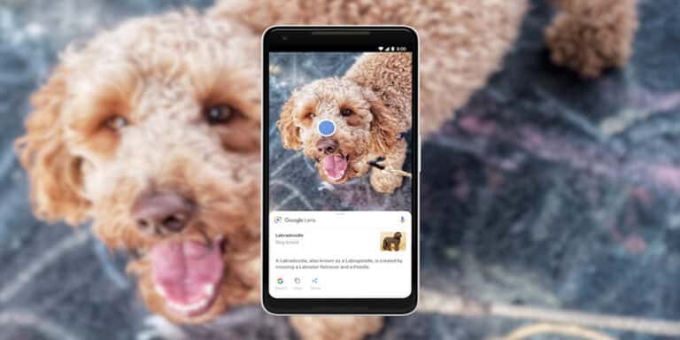 google-lens-integrato-pagina-principale-google-com