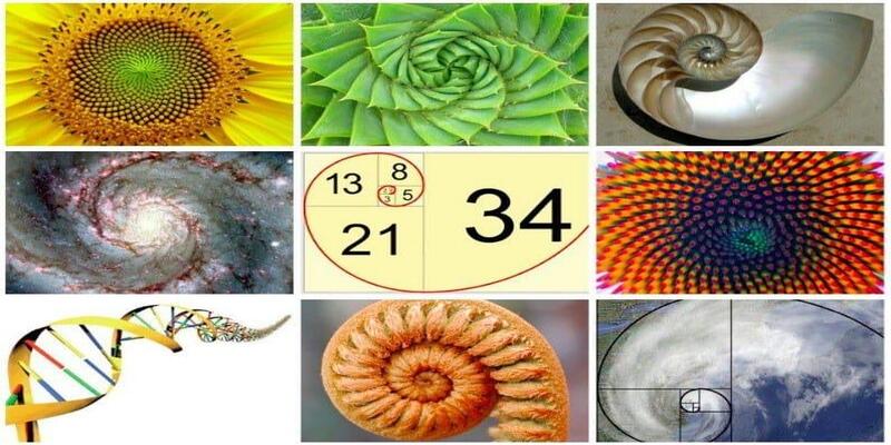 origine serie fibonacci