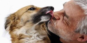 I cani vedono i padroni come una sorta di genitore