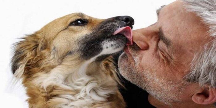 I cani vedono i padroni come una sorta di genitore