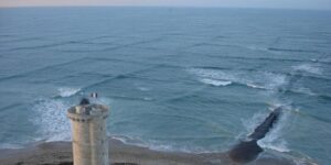 Intraviste nel mare delle onde quadrate