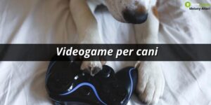 Videogame, ora anche i cani possono giocare come gli esseri umani