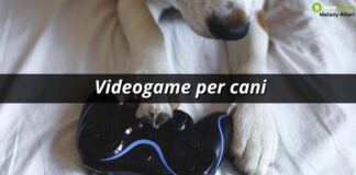 Videogame, ora anche i cani possono giocare come gli esseri umani