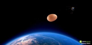 NASA, l'incredibile esperimento dell'uovo nello spazio è riuscito