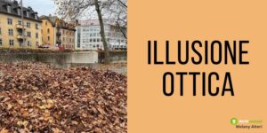 Illusione Ottica, c'è un cane nascosto tra le foglie ma non si vede