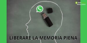 Whatsapp, se hai la memoria piena puoi svuotarla così senza perdere nulla