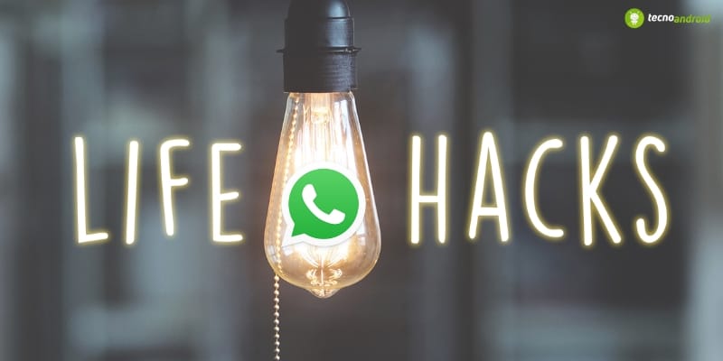 Whatsapp, i segreti della piattaforma di cui non puoi fare a meno