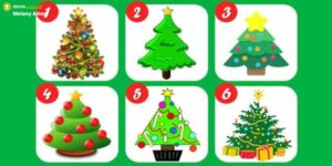 Illusione Ottica, l'albero di Natale che sceglierai rivelerà chi sei