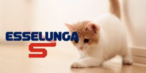 esselunga