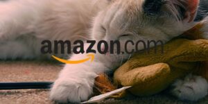 Amazon è folle, offerte solo oggi all'80% distruggono Unieuro