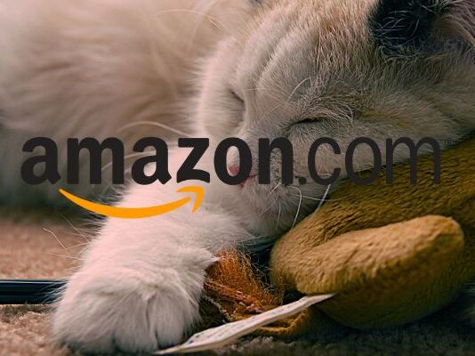 Amazon è folle, offerte solo oggi all'80% distruggono Unieuro