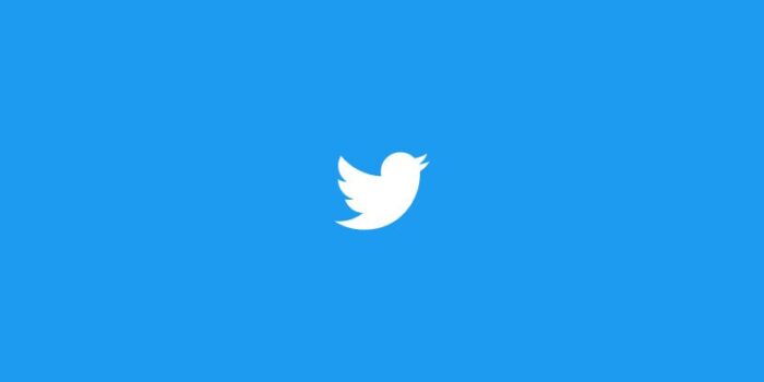 Twitter e Musk sotto ricatto, 400 milioni di utenti a rischio con la loro privacy