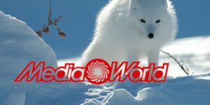 mediaworld