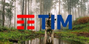 tim