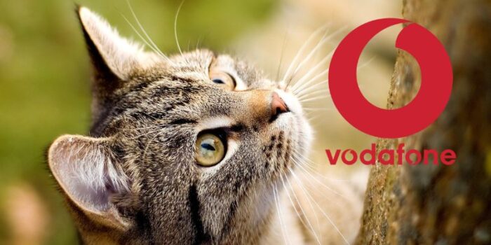 vodafone