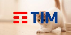 tim