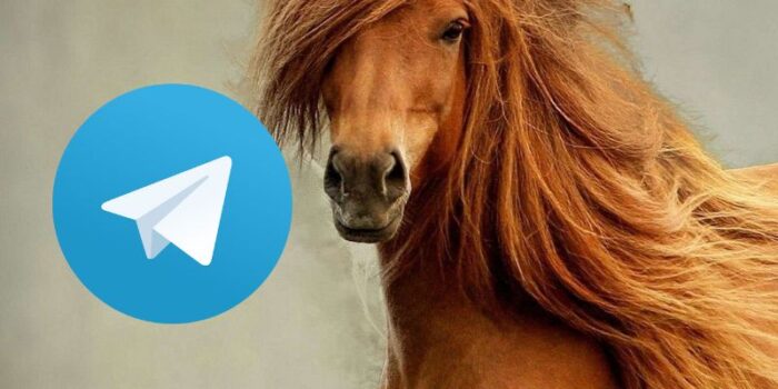 Telegram, trucco segreto per avere offerte Amazon gratis