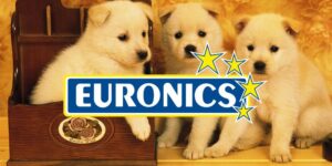 euronics