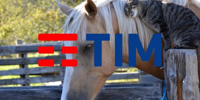 tim