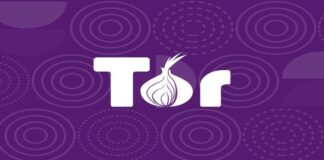 Tor Browser si aggiorna alla versione 12