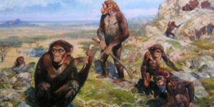 anni un frammento di DNA risalente a 2 milioni di anni