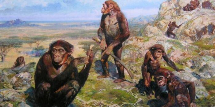 anni un frammento di DNA risalente a 2 milioni di anni