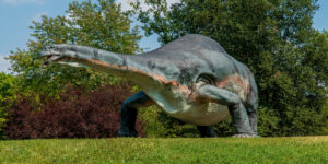 dinosauri-unesemplare-erbivoro-e-la-nuova-fonte-di-domande-degli-studiosi