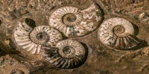uno-strano-bagliore-spettrale-circonda-il-nostro-sistema-solare