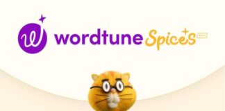 Wordtune Spices