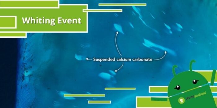 Nuvole Bianche, lo strano fenomeno delle chiazze bianche nell'acqua