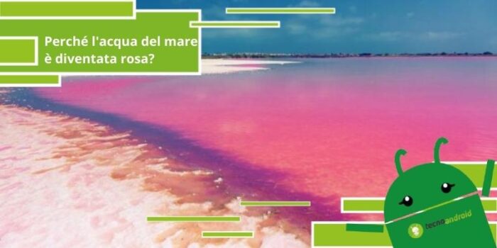 Sostanze inquinanti: ecco perché l'acqua del mare è diventata rosa