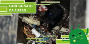 AirTag, gli item tracker di Apple hanno salvato un cane da un allagamento