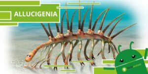Allucigenia, ecco com'era fatto il verme marino ormai estinto