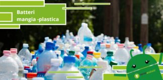 Plastica, alcuni batteri potrebbero risolvere il problema dell'inquinamento