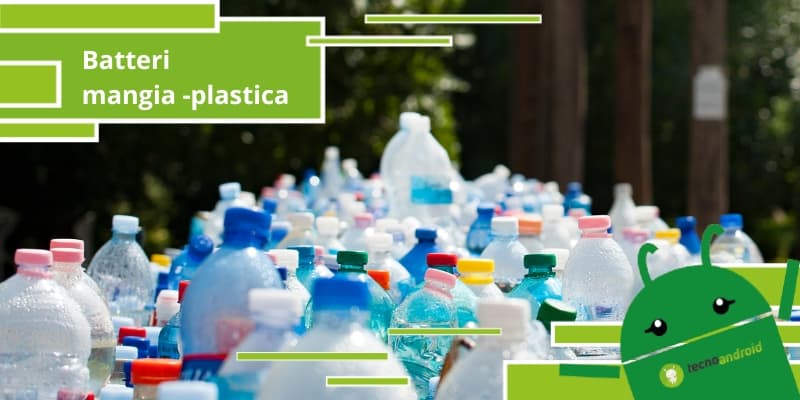 Plastica, alcuni batteri potrebbero risolvere il problema dell'inquinamento