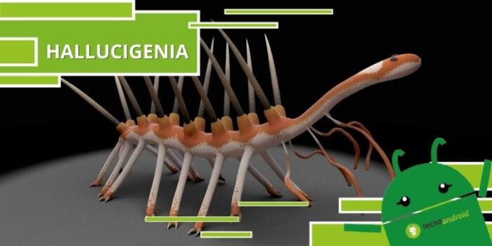 Hallucigenia, chi era il gigante di aot vissuto secoli fa e dove viveva