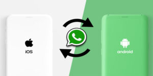 Come trasferire le chat di Whatsapp