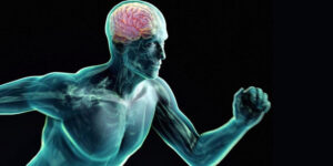 Fare esercizio fisico protegge il cervello