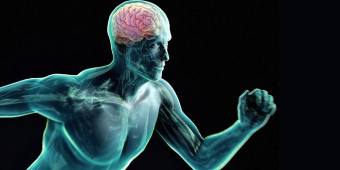 Fare esercizio fisico protegge il cervello