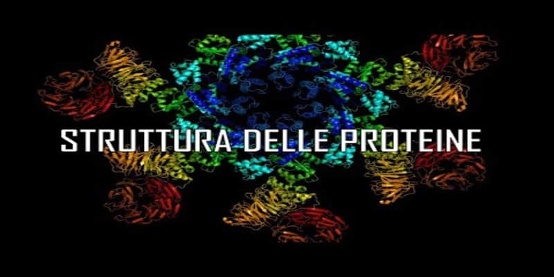 Immagini 5D delle proteine